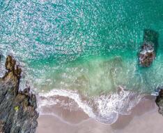 尸兄第一季全集在线观看（尸兄第一季全集）