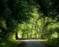 超神建模师*****（超神建模师的介绍）